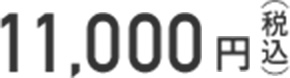11,000円(税込)